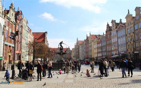 Gdańsk w jeden dzień 20 miejsc w centrum które warto zobaczyć