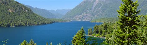 Lake Cushman Vacation Rentals | HomeToGo