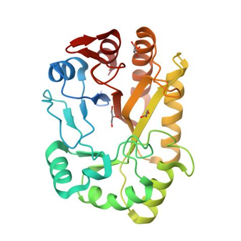 RCSB PDB 6UAQ Crystal Structure Of A GH128 Subgroup I Endo Beta 1