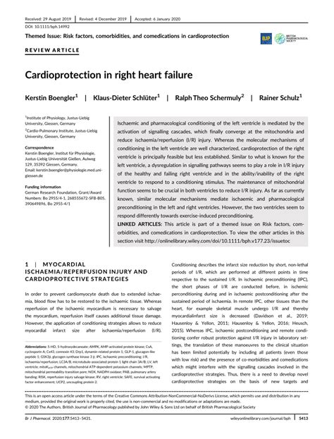 PDF Cardioprotection In Right Heart Failure