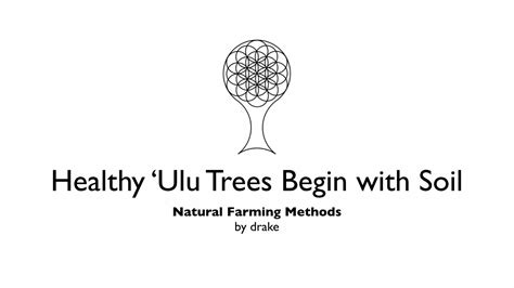 Pdf Healthy ‘ulu Trees Begin With Soil Dokumentips