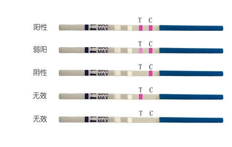 验孕棒怎么看求图解百度知道