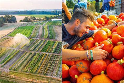 Naturspaziergang Gemüse Heideregion Uelzen