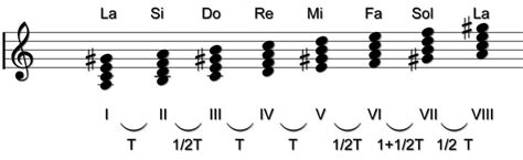 Teoria Musicale Tonalita