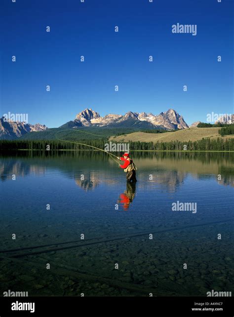 Fly Fishing On Little Redfish Lake Sawtooth Mountains Sawtooth National