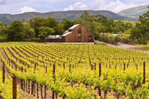 10 Tips To Know Before Visiting Napa Valley