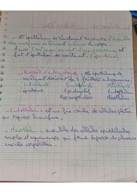 Solution Histologie Epitheliums De Revetement Studypool