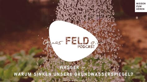 Querfeldein Podcast Wasser Warum Sinken Unsere