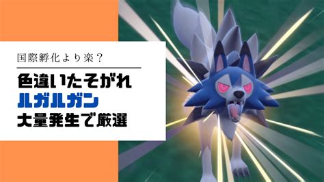 【ポケモンsv】色違いたそがれルガルガンを大量発生で厳選する方法｜証つきも狙える？ いんきゃぶ