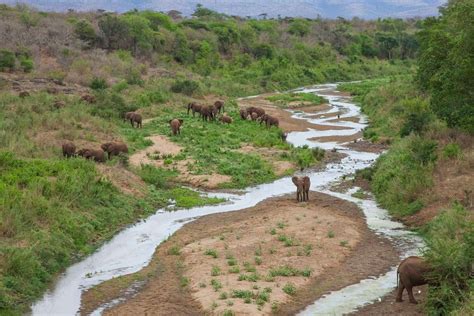 Isimangaliso Wetland Park Shadows Of Africa