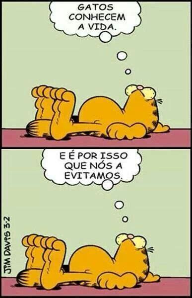 Citação Quadrinhos garfield Tirinhas Tirinhas engraçadas