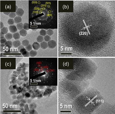 Typical A Tem And B Hrtem Images Of Fe O Nanoparticles And