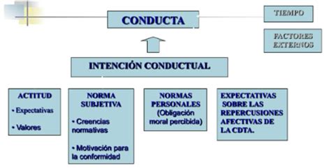 Tema 3 Actitudes Flashcards Quizlet