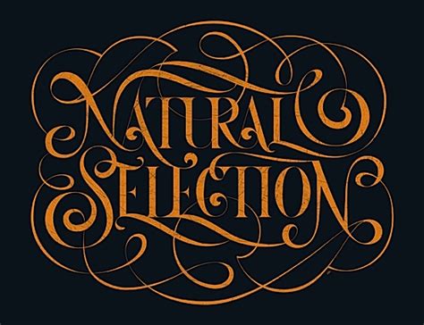 Awesome And Creative Typography Graphic Designs For Your Inspiration