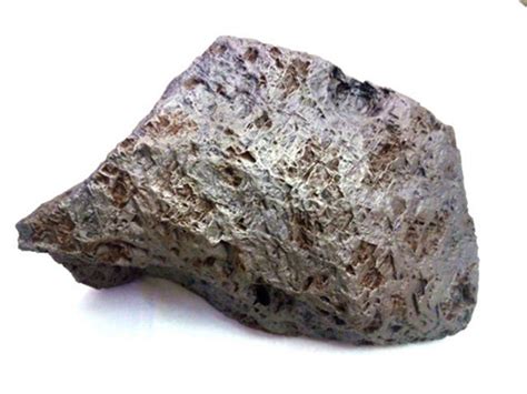 4 Billion Year Old Meteorite Sold At Auction For Over 14000