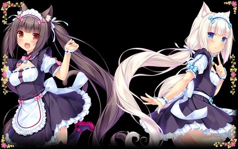 Image 2  Nekopara Wiki Fandom Powered By Wikia