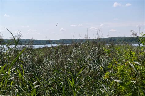 Photos Argonne la réserve naturelle régionale des étangs de Belval