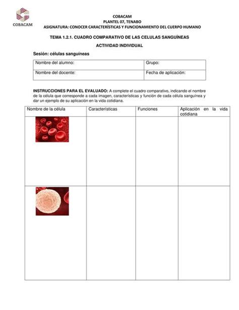 Cuadro Comparativo C Lulas Sangu Neas Eli Udocz