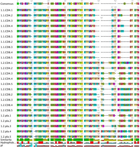 Amino Acid Sequence Protein Structure Primary