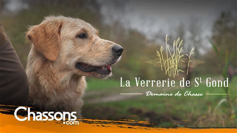 Domaine De Chasse De La Verrerie De St Gond Chassons Tv Youtube