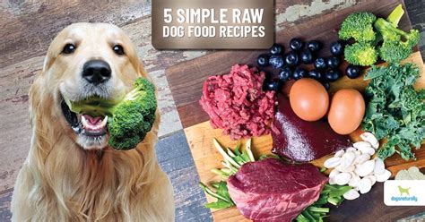 Homemade Dog Food Recipes For Dogs With Allergies - Bios Pics