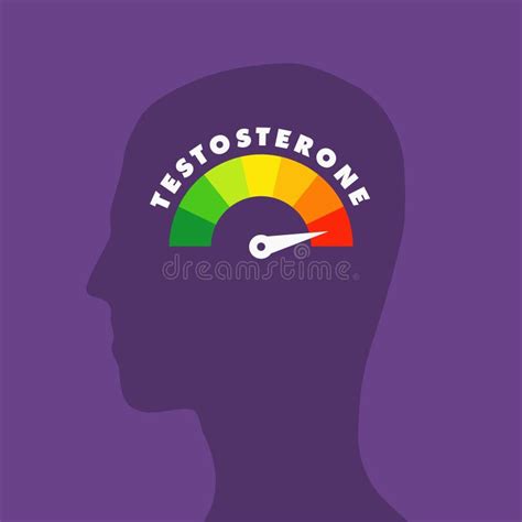 Nivel De Testosterona En Salud Ilustración del Vector Ilustración de