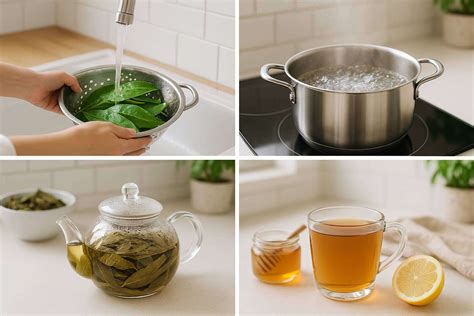 15 Science-Backed Health Benefits of Soursop Leaves