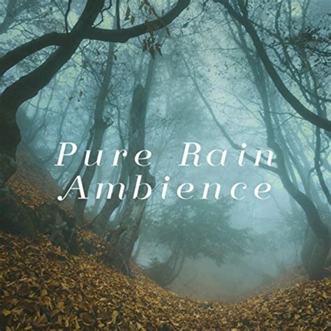 Amazon Pure Rain Ambience Rain Healing Sounds For Deep Sleep