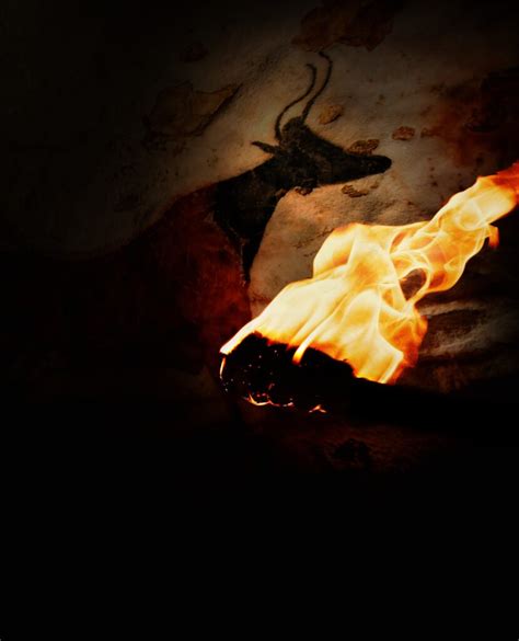 introducing   language storyteller studios