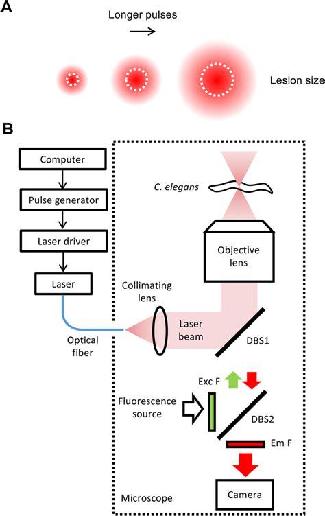 Thermal Ablation System A Basic Principle Of Thermal Ablation With Download Scientific