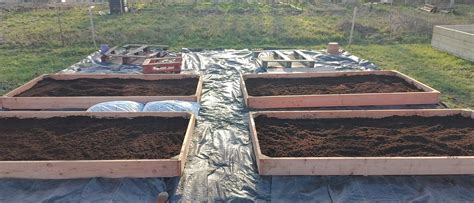 First No Dig Beds On New Allotment Rallotment