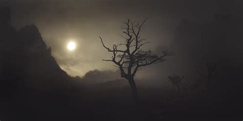 Sunlight Trees Landscape Street Light Black Birds Monochrome Dark Night Nature Sky