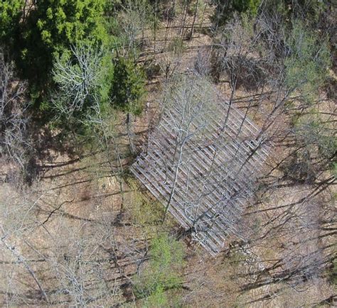 wild    trees  drought forest society