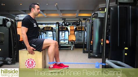 Theraband Knee Flexion Sitting Youtube