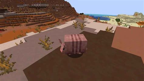 Minecraft Armadillo Spawn Locations - Pro Game Guides