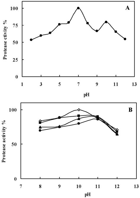 A Effect Of Ph On Protease Activity Activities Were Determined In