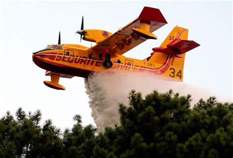 Allerta Caldo Incendi Nel Palermitano Canadair In Azione VIDEO