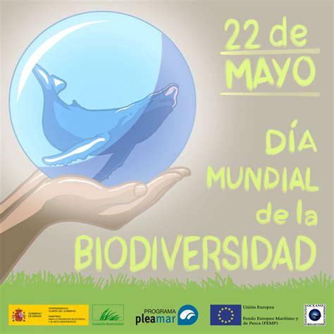 Feliz D A De La Biodiversidad Pleamar