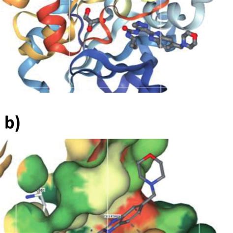 A Cartoon Representation Of The Crystallographic Structure Of Complex