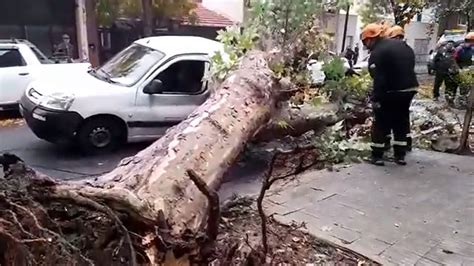 Sequía altas temperaturas y estrés urbano las razones que explican la