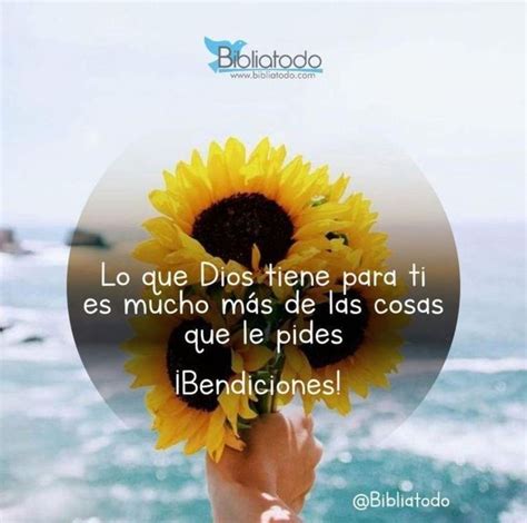 Pin De Vanessa Rojas En In God I Trust Frases Dios Frases Catolicas