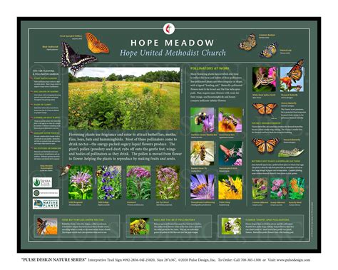 Pdns Pollinator Garden Monarch Butterfly Bee Habitat Outdoor