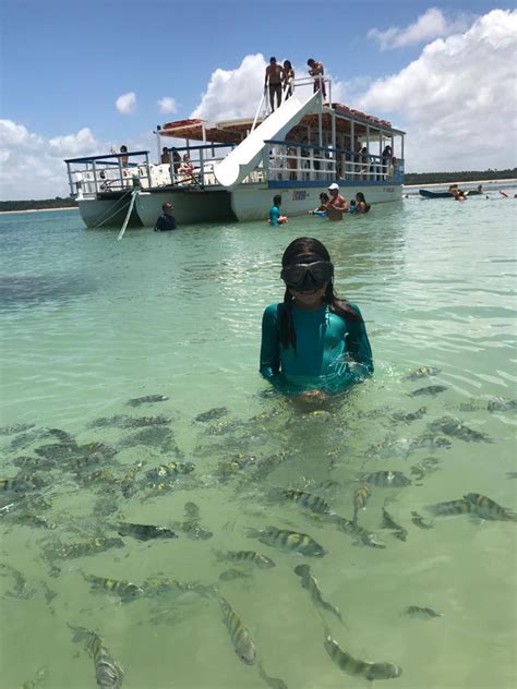 Piscinas Do Seixas Passeio Para As Piscinas Naturais Do Seixas