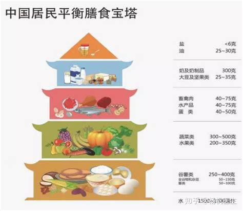 如何控制孕前体重——饮食攻略 知乎