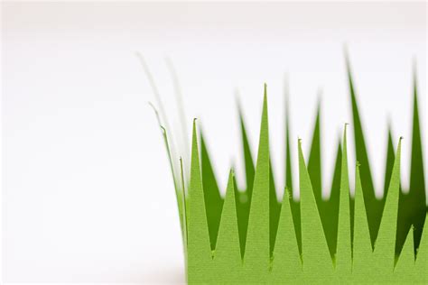 Grass Paper Boxes Free Cut Files