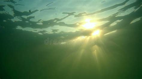 Sunlight Rays Shining Through Ocean Surface View From Underwater Stock