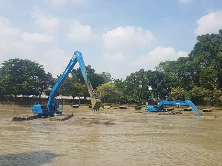 Sudin Kpkp Jakpus Akan Tebar Ribu Benih Ikan Di Situ Lembang Atmago