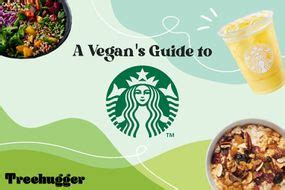 A Vegan S Guide To Olive Garden 2022 Menu Options And Swaps