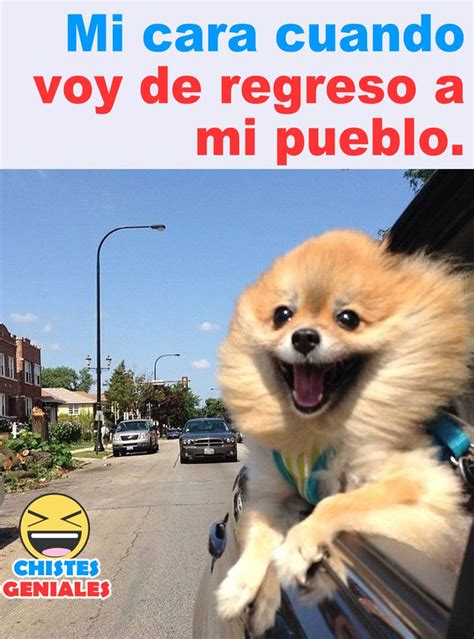 Mi Cara Cuando Voy De Regreso A Mi Pueblo Chistes Geniales Humor De