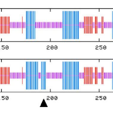 Control And Mutant Fruit Phenotypes At Mature Green Breaker 3 And